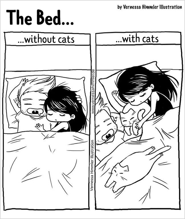 18 Comics Showing What the Life of a Cat Owner Is Like - Magicorama