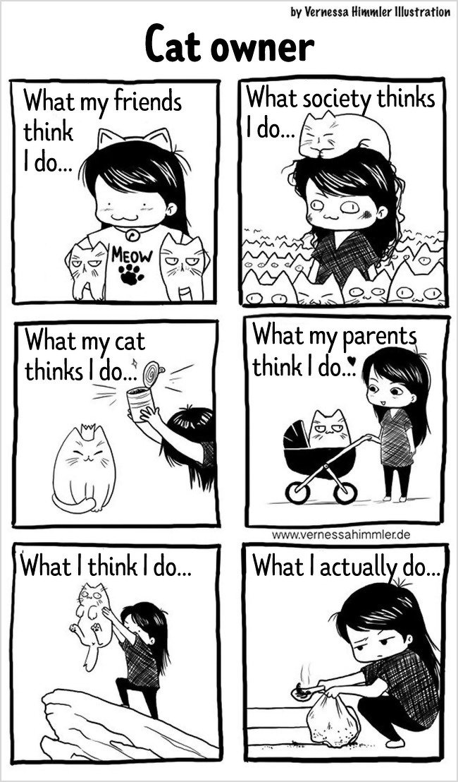 18 Comics Showing What the Life of a Cat Owner Is Like - Magicorama