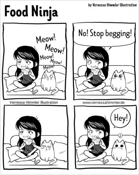 18 Comics Showing What the Life of a Cat Owner Is Like - Magicorama